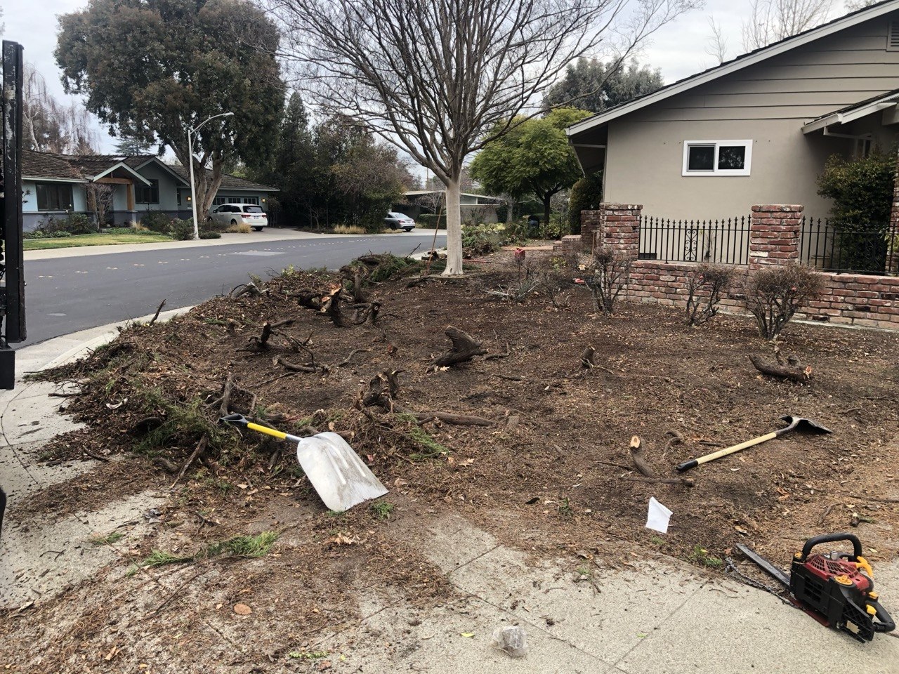 Before — front yard renovation
