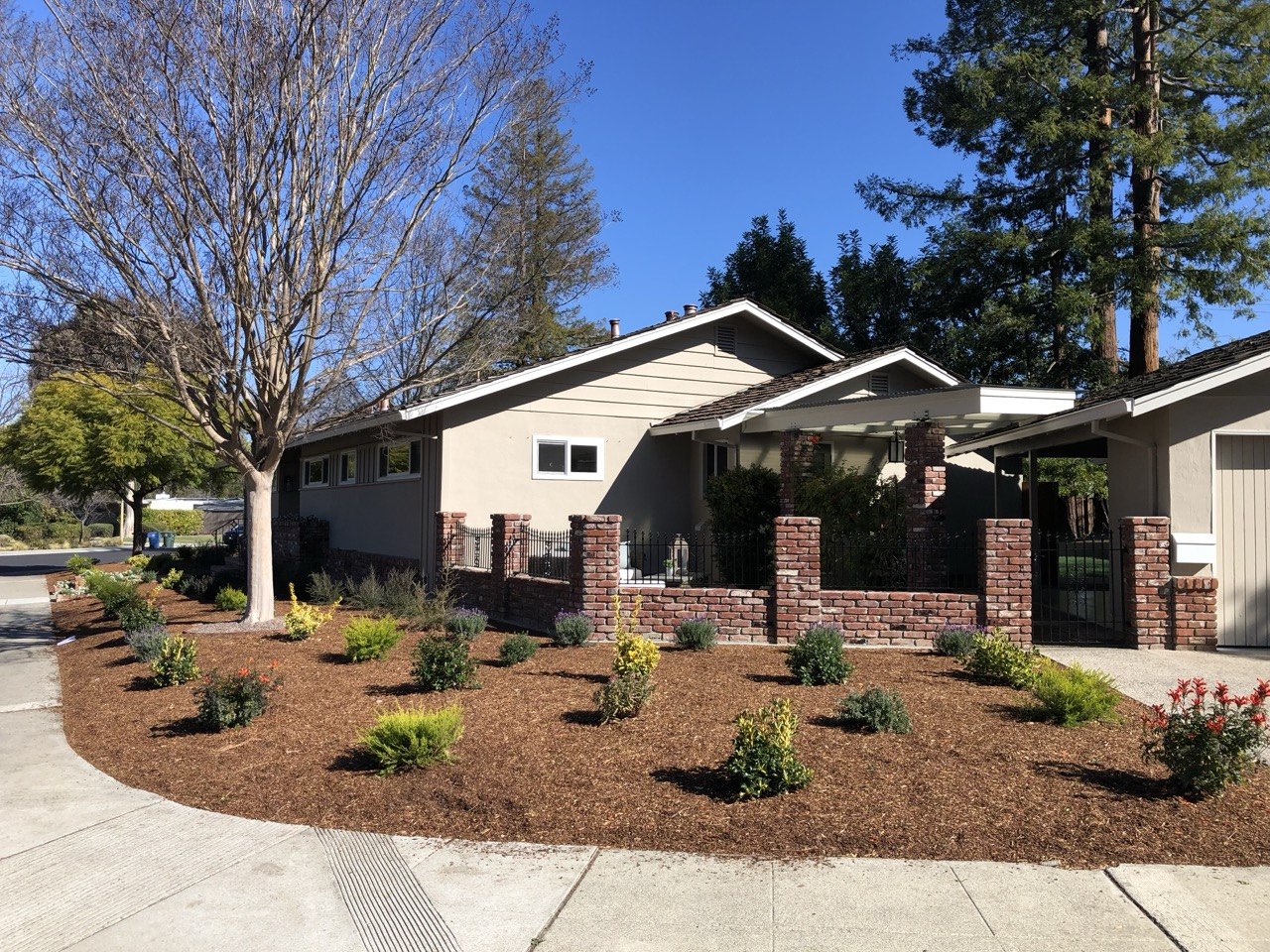 After — front yard renovation