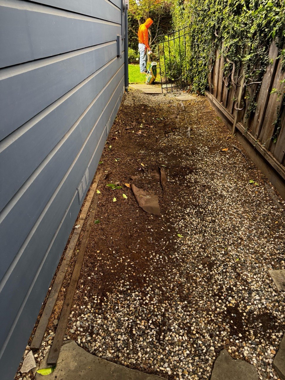 Before — irrigation and sod